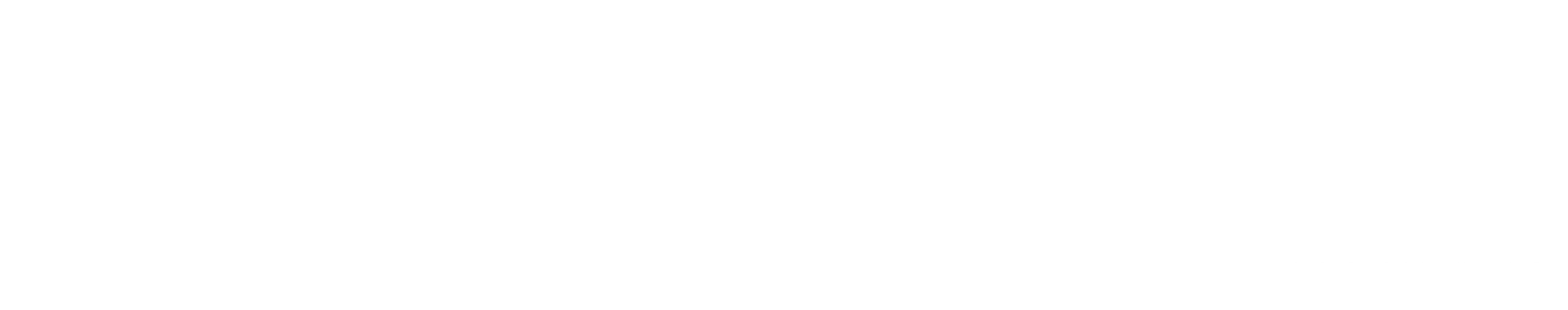 Town Clerk Government Town Of Deerfield NY
